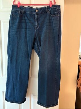 Lane Bryant Men’s Relaxed Dark Blue Jeans